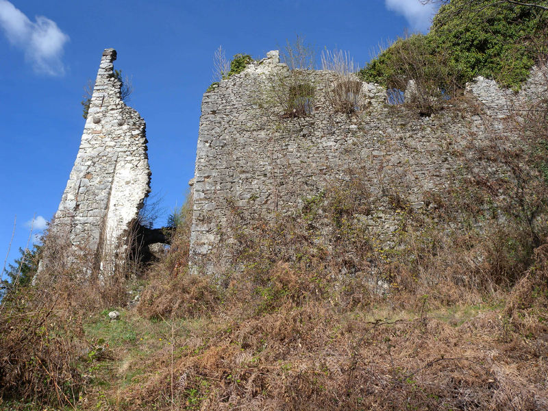 Castello di Castellalto (Telve)