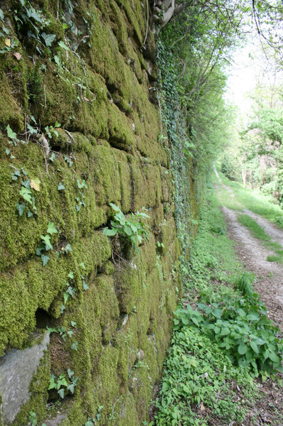 Dettaglio mura di Gorizia